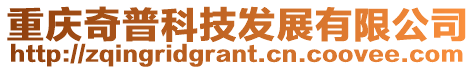 重慶奇普科技發(fā)展有限公司