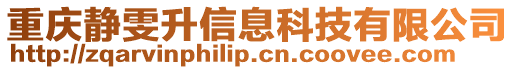 重慶靜雯升信息科技有限公司