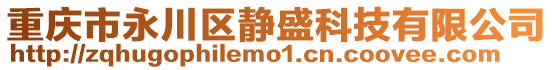 重慶市永川區靜盛科技有限公司
