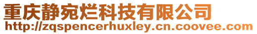 重慶靜宛爛科技有限公司