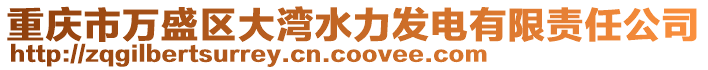 重慶市萬盛區(qū)大灣水力發(fā)電有限責(zé)任公司