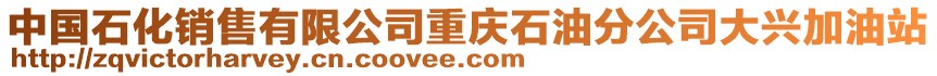 中國(guó)石化銷售有限公司重慶石油分公司大興加油站