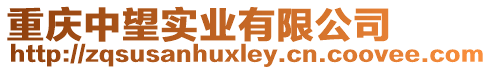 重慶中望實(shí)業(yè)有限公司