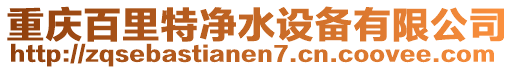 重慶百里特凈水設(shè)備有限公司