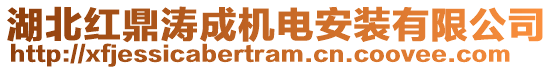 湖北紅鼎濤成機電安裝有限公司