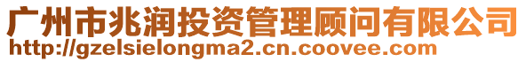 廣州市兆潤(rùn)投資管理顧問有限公司