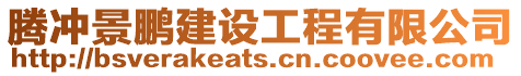 騰沖景鵬建設(shè)工程有限公司