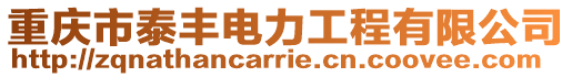 重慶市泰豐電力工程有限公司