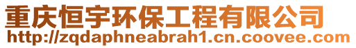 重慶恒宇環(huán)保工程有限公司