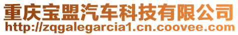 重慶寶盟汽車科技有限公司