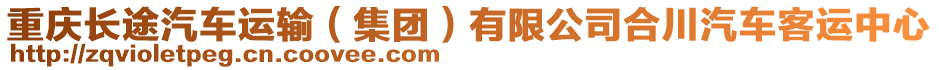 重慶長途汽車運輸（集團(tuán)）有限公司合川汽車客運中心