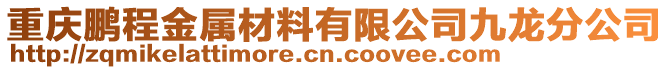 重慶鵬程金屬材料有限公司九龍分公司