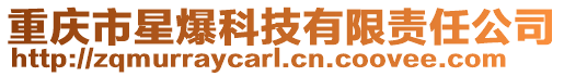 重庆市星爆科技有限责任公司