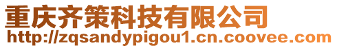 重慶齊策科技有限公司