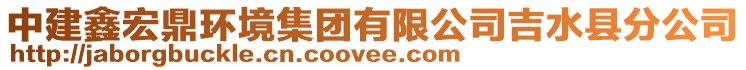 中建鑫宏鼎環(huán)境集團(tuán)有限公司吉水縣分公司