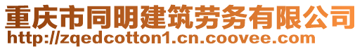 重慶市同明建筑勞務(wù)有限公司