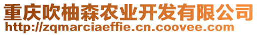 重慶吹柚森農(nóng)業(yè)開發(fā)有限公司