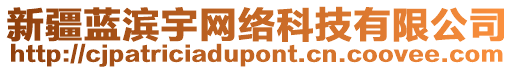 新疆藍(lán)濱宇網(wǎng)絡(luò)科技有限公司