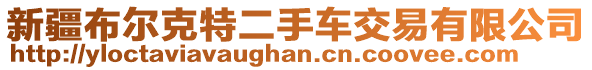 新疆布爾克特二手車交易有限公司