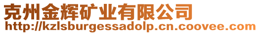 克州金輝礦業(yè)有限公司