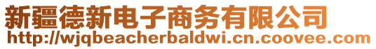 新疆德新電子商務(wù)有限公司