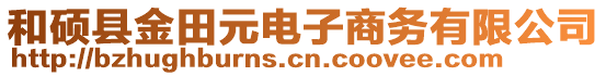 和碩縣金田元電子商務(wù)有限公司