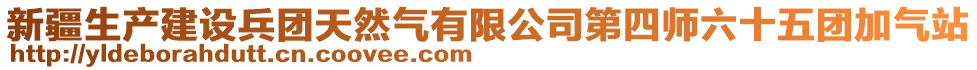 新疆生產(chǎn)建設(shè)兵團(tuán)天然氣有限公司第四師六十五團(tuán)加氣站