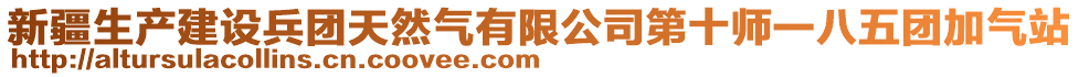 新疆生產(chǎn)建設(shè)兵團(tuán)天然氣有限公司第十師一八五團(tuán)加氣站