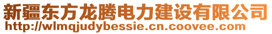 新疆東方龍騰電力建設(shè)有限公司