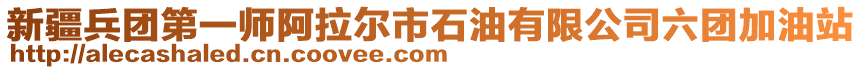 新疆兵團第一師阿拉爾市石油有限公司六團加油站