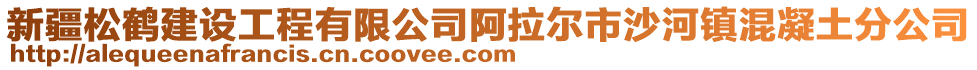 新疆松鹤建设工程有限公司阿拉尔市沙河镇混凝土分公司