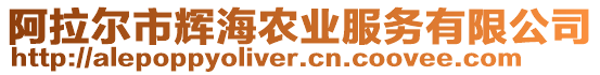 阿拉爾市輝海農(nóng)業(yè)服務(wù)有限公司