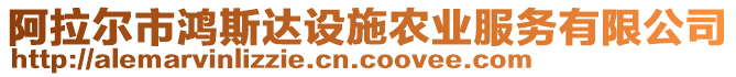 阿拉爾市鴻斯達設(shè)施農(nóng)業(yè)服務(wù)有限公司