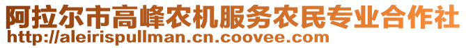 阿拉爾市高峰農(nóng)機(jī)服務(wù)農(nóng)民專業(yè)合作社