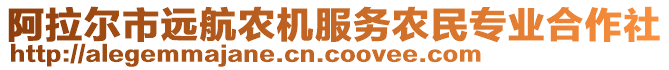 阿拉爾市遠航農(nóng)機服務(wù)農(nóng)民專業(yè)合作社