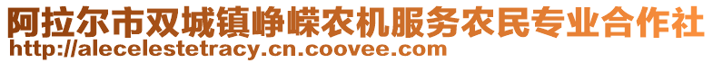 阿拉爾市雙城鎮(zhèn)崢嶸農(nóng)機(jī)服務(wù)農(nóng)民專業(yè)合作社