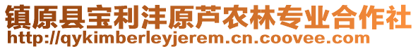 鎮(zhèn)原縣寶利灃原蘆農(nóng)林專業(yè)合作社