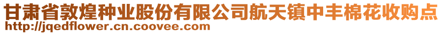 甘肅省敦煌種業(yè)股份有限公司航天鎮(zhèn)中豐棉花收購(gòu)點(diǎn)