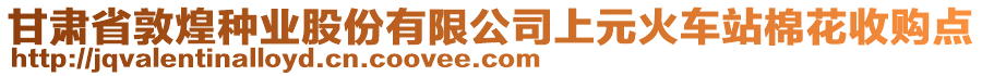 甘肅省敦煌種業(yè)股份有限公司上元火車站棉花收購點