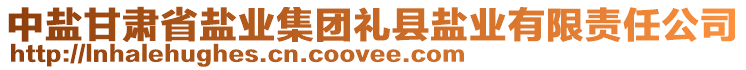 中鹽甘肅省鹽業(yè)集團(tuán)禮縣鹽業(yè)有限責(zé)任公司