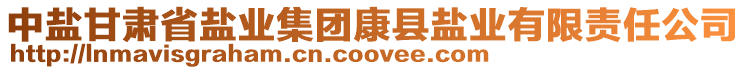 中鹽甘肅省鹽業(yè)集團(tuán)康縣鹽業(yè)有限責(zé)任公司