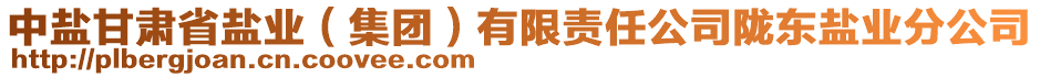 中盐甘肃省盐业（集团）有限责任公司陇东盐业分公司