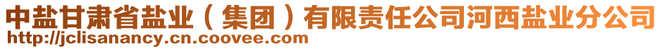 中鹽甘肅省鹽業(yè)（集團(tuán)）有限責(zé)任公司河西鹽業(yè)分公司