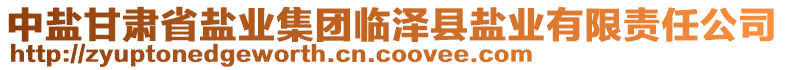 中鹽甘肅省鹽業(yè)集團(tuán)臨澤縣鹽業(yè)有限責(zé)任公司