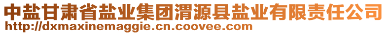 中鹽甘肅省鹽業(yè)集團渭源縣鹽業(yè)有限責任公司