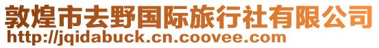 敦煌市去野國際旅行社有限公司