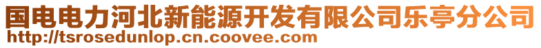 國(guó)電電力河北新能源開(kāi)發(fā)有限公司樂(lè)亭分公司