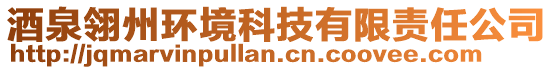 酒泉翎州環(huán)境科技有限責(zé)任公司