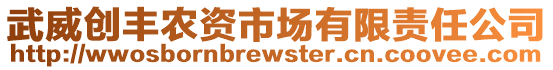 武威創(chuàng)豐農(nóng)資市場(chǎng)有限責(zé)任公司