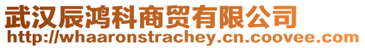 武漢辰鴻科商貿(mào)有限公司